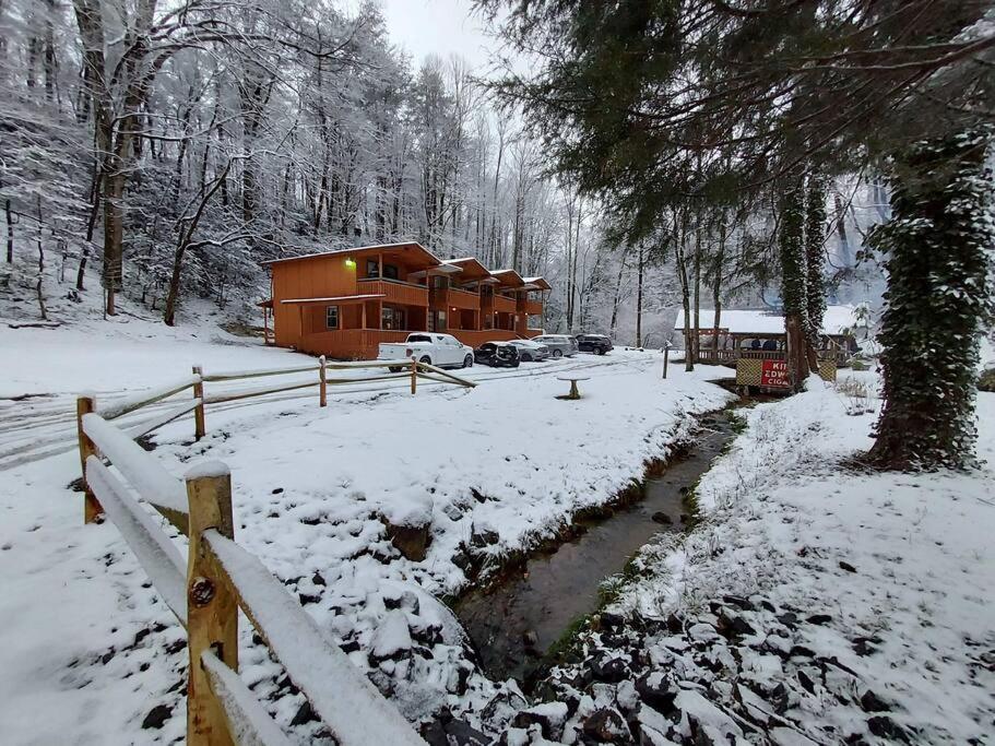 Cute Cabin Creek & Firepit #12 헬렌 외부 사진
